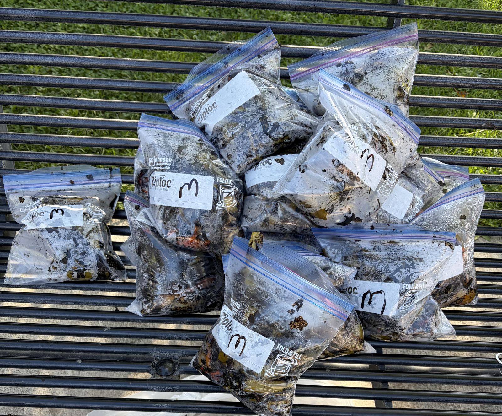 Bagged fire-roasted green chilies labeled medium